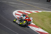 Advanced Group Multicolour Bikes